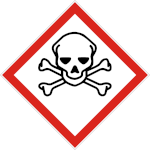 GHS 06