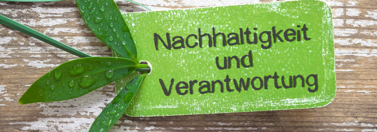 Nachhaltigkeit mit MoellerStoneCare